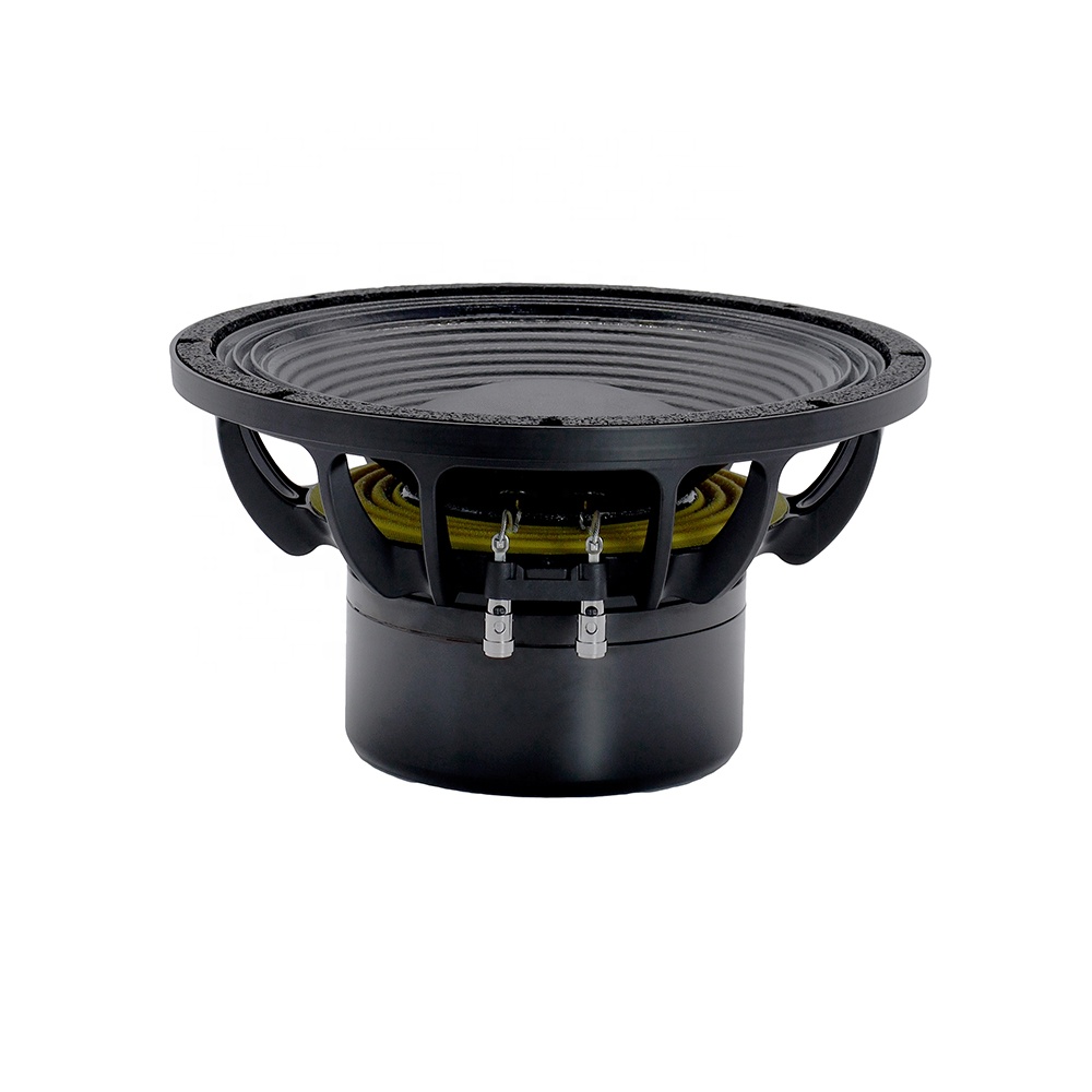 Profesjonalny sprzęt audio 12D – Speakers recenzja i cena