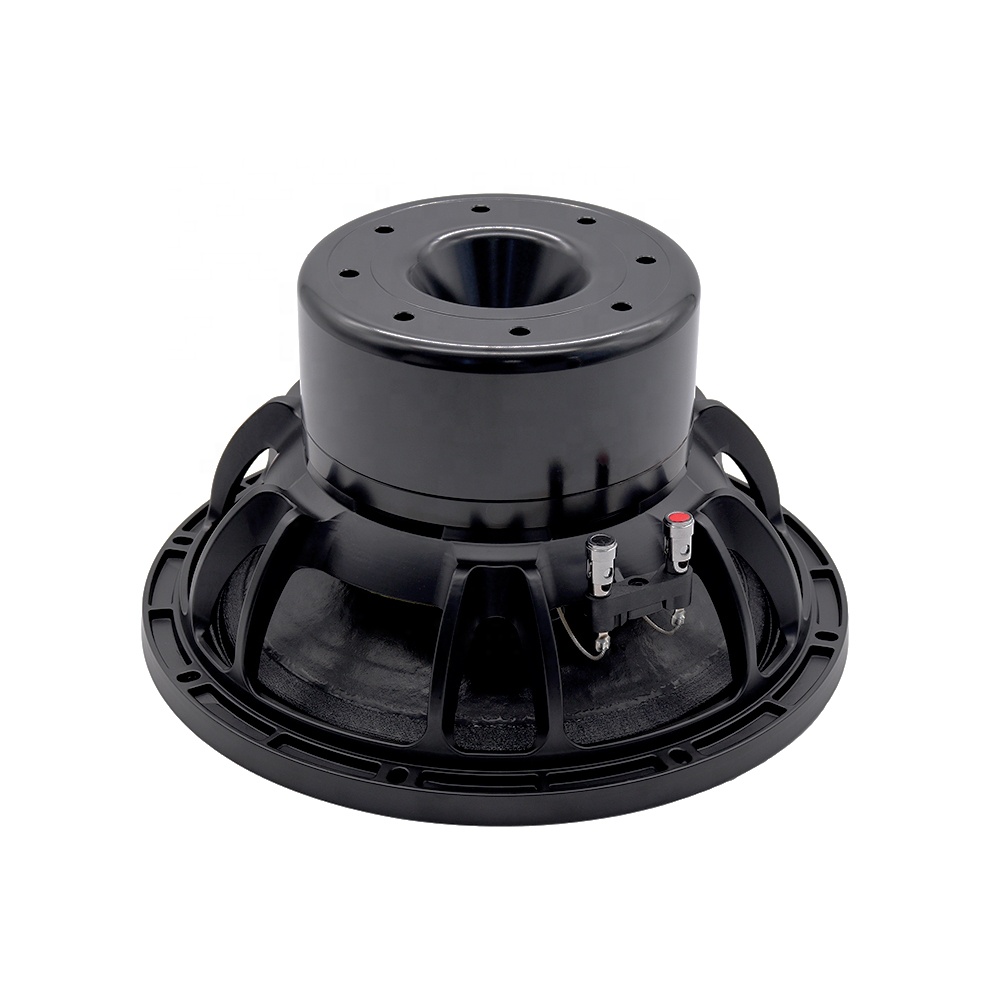 Profesjonalny sprzęt audio 12D – Speakers recenzja i cena